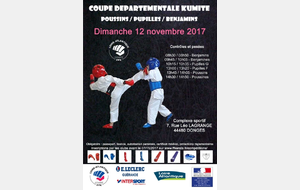 Coupe départementale poussins, pupilles et benjamins le dimanche 12 novembre 2017 à Donges